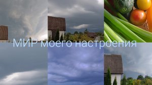 11.07.26 Дача.Любуюсь на грозу.