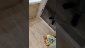 илидилршр