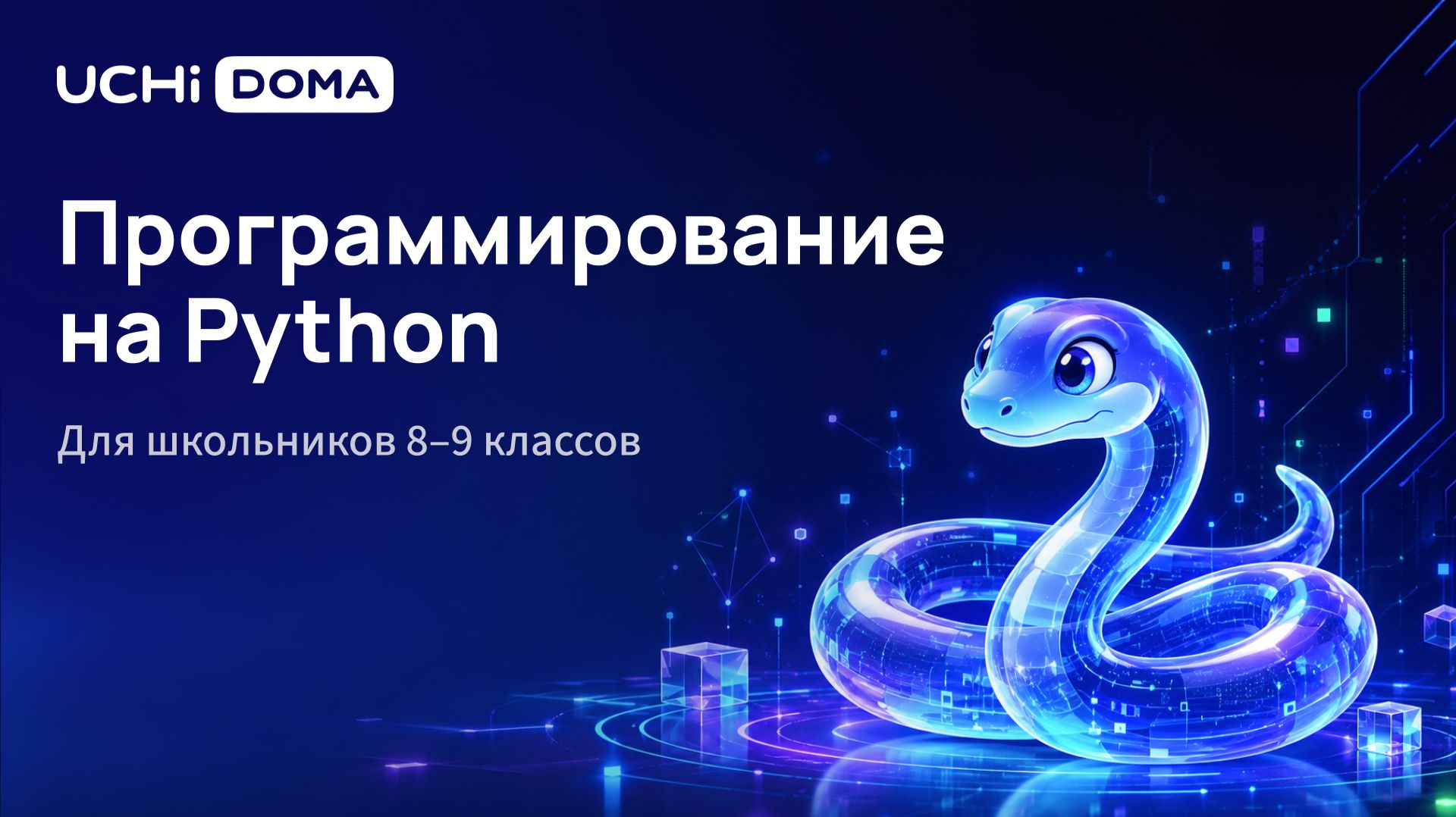 Программирование на Python (Школьники 8–9 классов) смотреть онлайн