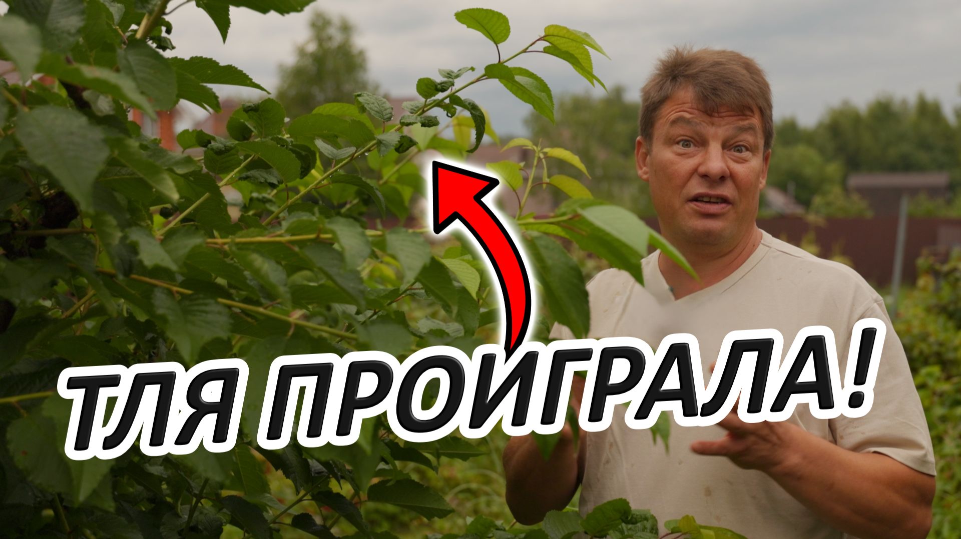 ЧЕРНАЯ ТЛЯ — НЕ ВЕРЮ ГЛАЗАМ смотреть онлайн