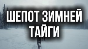Шепот зимней тайги | таежные рассказы