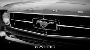 X ALBO - VROOM (ORIGINAL MIX)