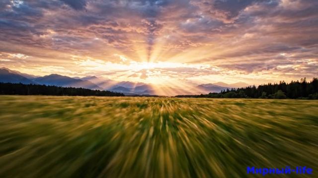 МАТУШКА ЗЕМЛЯ Armin van Buuren feat. Emma Hewitt - Mother Earth | A State of Trance 2026