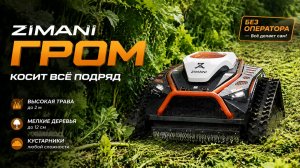 Робот ГРОМ, покажет как нужно косить заросли БОРЩЕВИКА