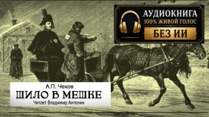 «Шило в мешке». А.П.Чехов. Читает Владимир Антоник. Аудиокнига