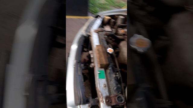 1000054653.mp4 смотреть онлайн
