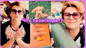Котята для удава🤦