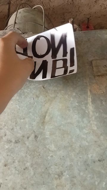 =^._.^= ∫