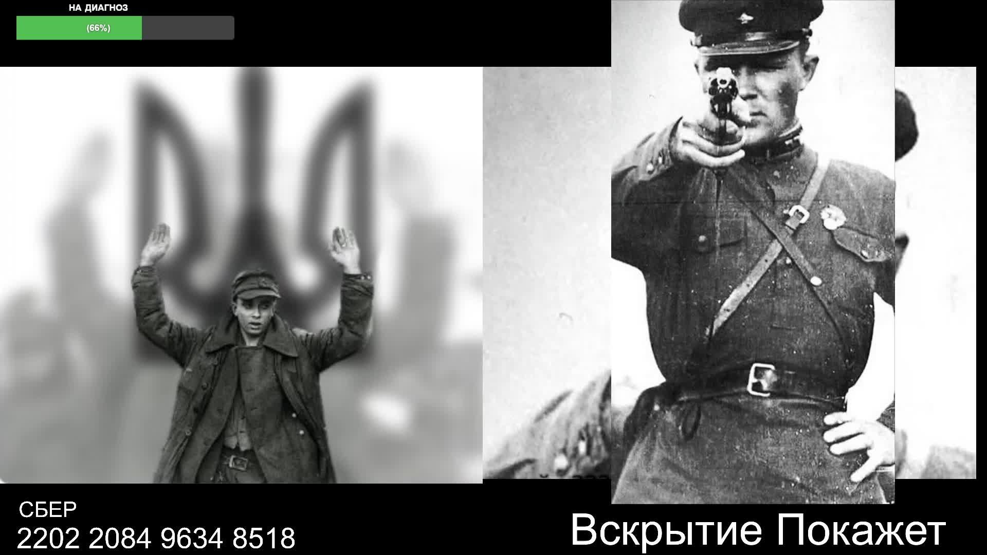 Стрим по сумеркам смотреть онлайн