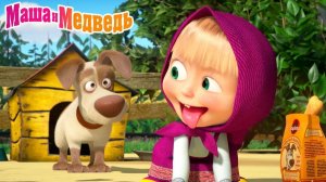 Маша и Медведь Мультфильм｜Веселая Ферма Маши｜Маша и Медведь смотреть