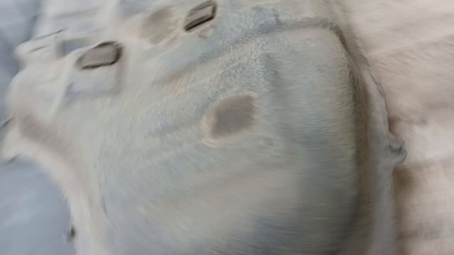 17955