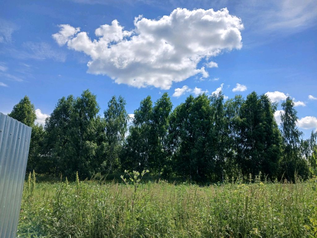 вика ви смотреть онлайн