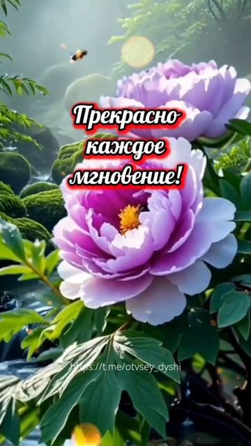 доброе утро смотреть онлайн