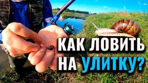 Ловля на улитку как проходит такая рыбалка и что нужно знать