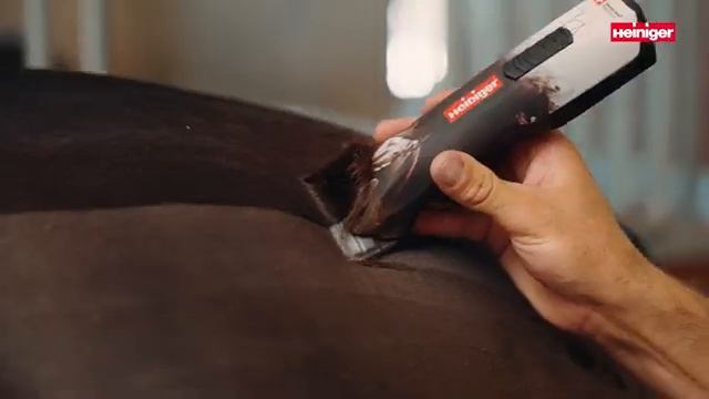 Машинка Heiniger Opal Horse для стрижки лошадей смотреть онлайн