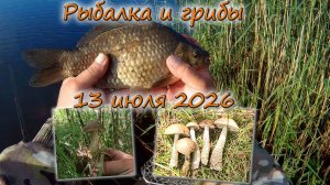 Рыбалка и грибы 13 июля 2026