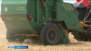 На Ставрополье в разгаре сенокос