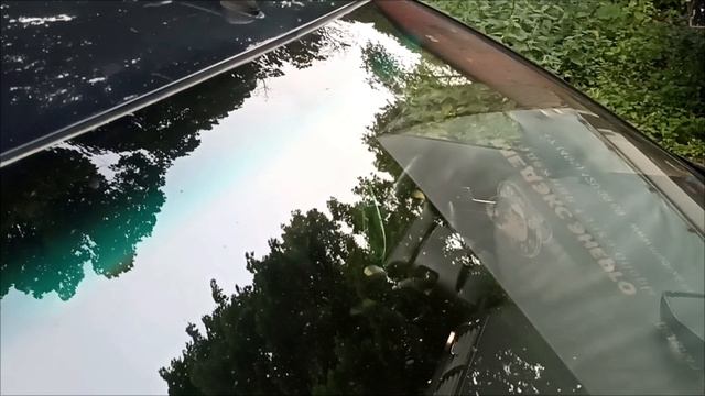 1000951013.mp4 смотреть онлайн