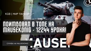 C1yMba ●  12 244 УРОНА - КЛУМБА ПОИМБОВАЛ В ТОПЕ НА MAUSEKONIG!