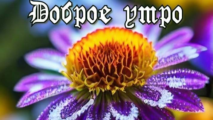 Доброе июльское утро. Шикарная музыкальная открытка. смотреть онлайн