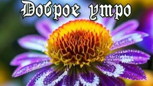 Доброе июльское утро. Шикарная музыкальная открытка.