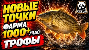 🤑 НОВЫЕ ТОЧКИ для ФАРМА РР4! МЕДНОЕ • НОРВЕЖКА • ЯНТАРНОЕ! Фарм Серебра в Русской Рыбалке 4