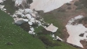 В Кавказском заповеднике на Бзерпинском карнизе в Сочи сошла летняя лавина