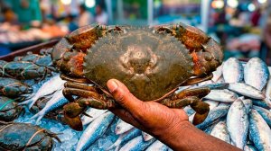 Морепродукты! Мастерство приготовления гигантского илистого краба и рыбы хилса