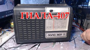 Гиала 407 на обслуживание и ремонт
