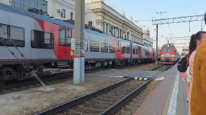 355 ВЕРНУЛАСЬ ИЗ КАЗАХСТАНА. ЧТО ДАЛЬШЕ ХОЗЯЙНИЧАЕТ В ОГОРОДЕ.