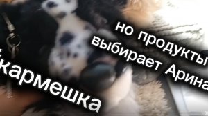 #кормёжка плюшевой собаки? Но продукты выбирает моя подруга?