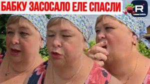 Бабку засосало, еле спасли /Ольга Уралочка live /Обзор