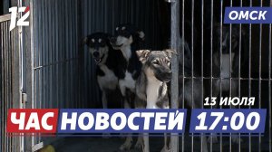 Приют, меняющий судьбы / Главный праздник лета / Штраф за съемку дронов. Новости Омска
