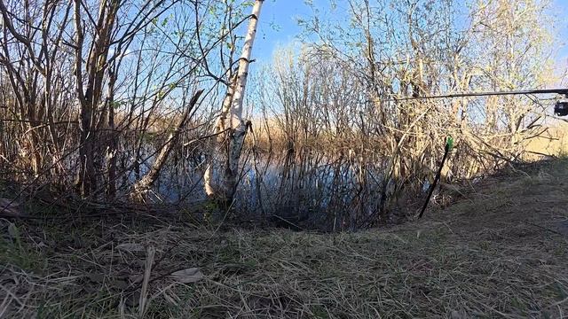 Отвратительно, НО ИНТЕРЕСНО! Придорожный КАРАСЬ! смотреть онлайн