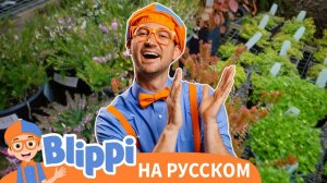 Уважайте нашу планету _ Изучай этот мир вместе с Блиппи _ Обучающие видео для детей