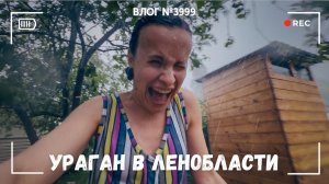 У нас ураган! Остались без света, воды и связи -  ВЛОГ №3999 - 11.07.26