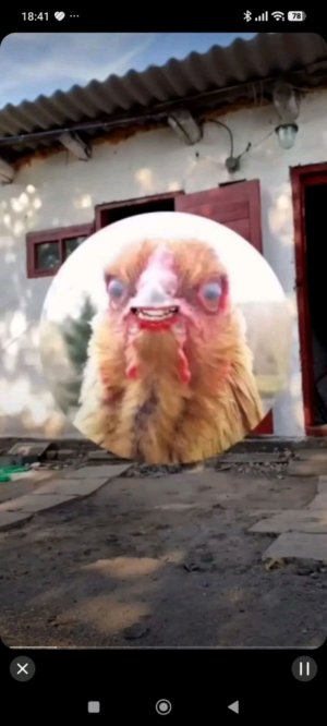 ...