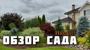 Интересные растения июля. Устойчивые к слизням гейхеры. Хосты. Розы. Хвойные. Июль’26