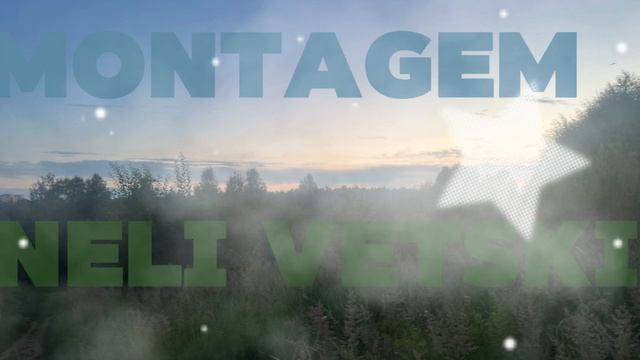 MONTAGEM NELI VETSKI - Dj painless 010 смотреть онлайн
