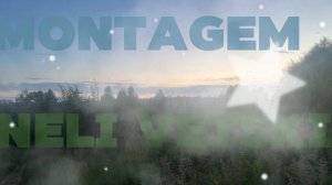 MONTAGEM NELI VETSKI - Dj painless 010