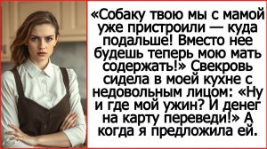 Истории из жизни. Вместо своей собаки будешь мою мать содержать! Слушать рассказы Андрея Белого