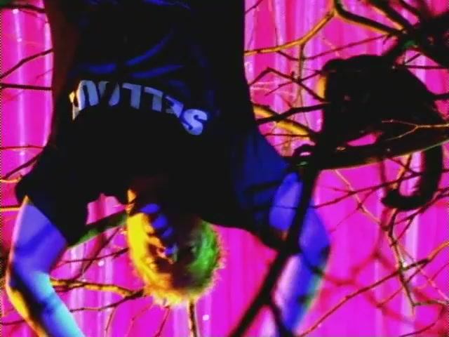 Offspring - The Meaning of Life
