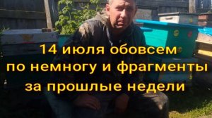 обо всем по не многу