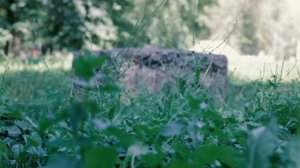 Безопасных и радостных прогулок вашим детям!