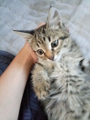 рисуем