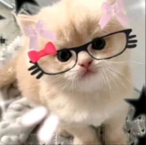 убегаю с Дариной от Санька 😳🕶🤏