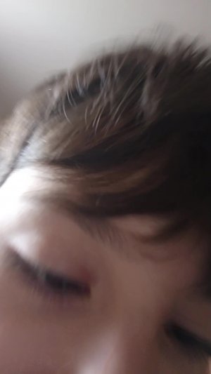 gv