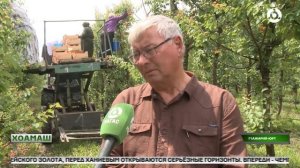 Хоамаш 13.07.2026 шу