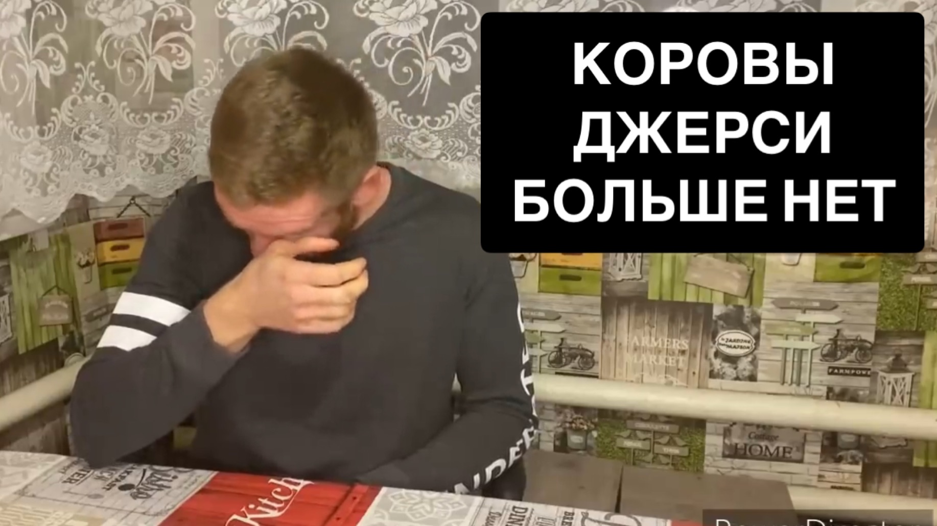 КОРОВЫ ДЖЕРСИ БОЛЬШЕ НЕТ😭😭😭 смотреть онлайн