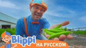 Песенка о Земле _ Блиппи на Русском _ Изучай этот Мир вместе с Блиппи _ Blippi
